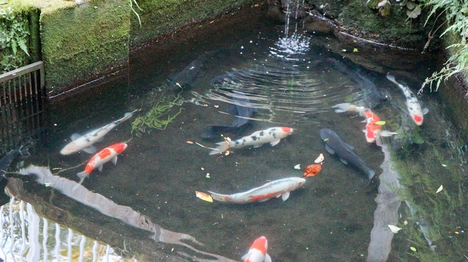 【素泊まり】源泉かけ流しの美肌の湯＆鯉が泳ぐ庭園を眺めてリラックス（4，400円）